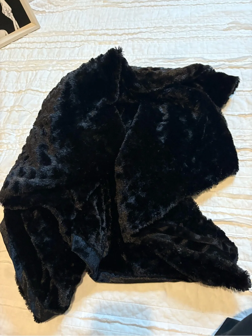 Black velvet animal print reversible blanket